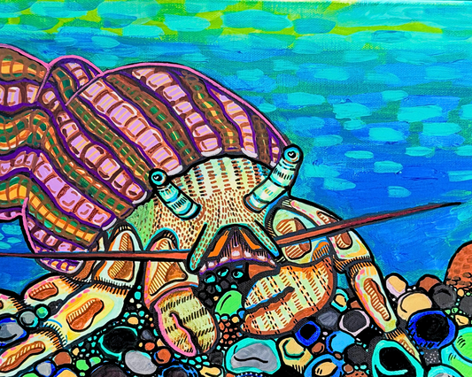 A hermit crab bestie