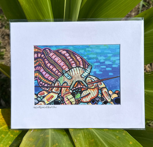 "Pebble Pincher" | Paper Print