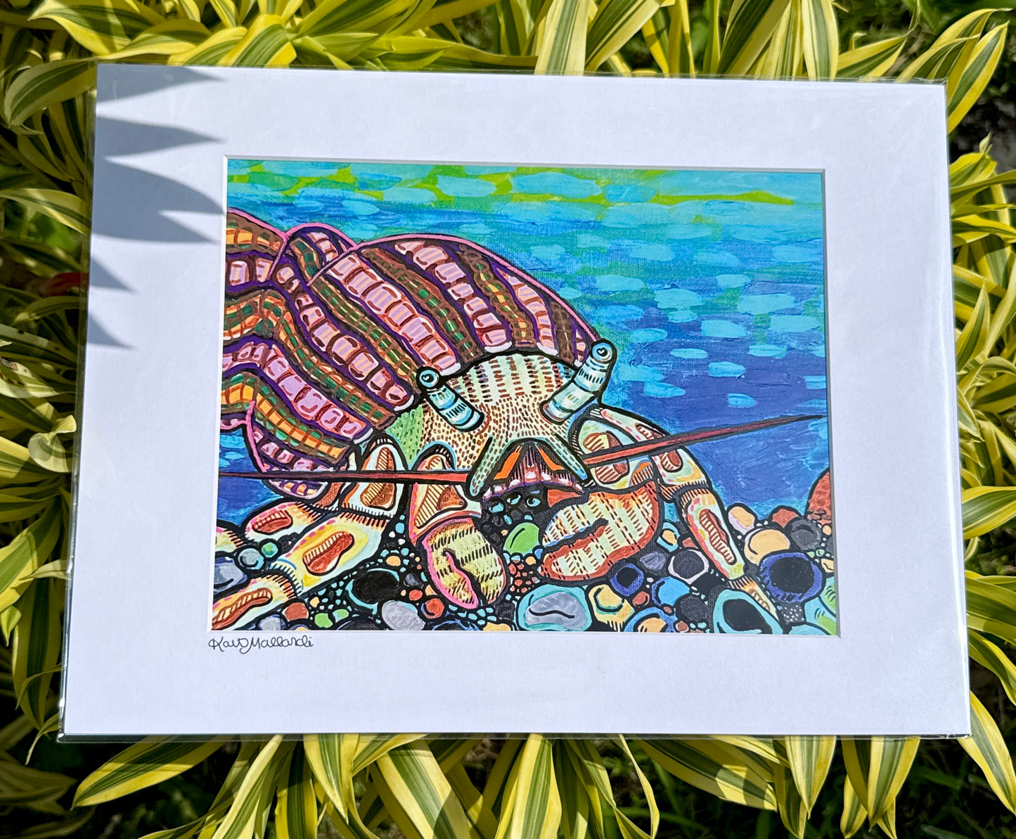 "Pebble Pincher" | Paper Print